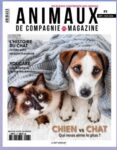 animaux de compagnie magazine