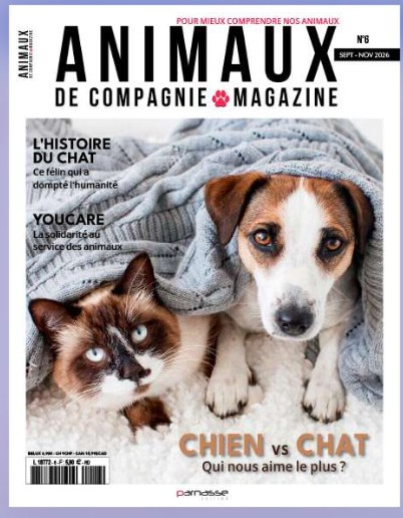 animaux de compagnie magazine