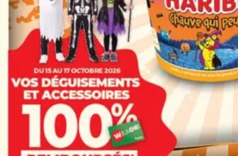 auchan accessoires deguisement
