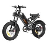 En promo à 1059€ le Fatbike 20 pouces 1000 watts AILIFE X20B 