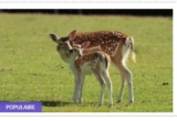 Bretagne : Parc Aquanature : billets à prix réduits