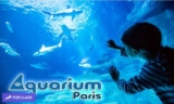 Réduction Aquarium de Paris : billets pas chers à partir de 16.4€ ( visite nocturne + boisson )