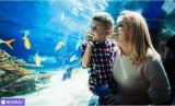 Aquarium Sealand Noirmoutier .. billets moins chers