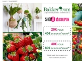 Jardinerie en ligne BAKKER : bons d&rsquo;achats à moitié prix ( de 80 et 40€)