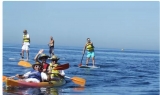 Bon plan location Paddle , Canoé à Carry le Rouet pas cher   (21€ stand up paddle pour 2 personnes )