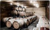 Visite et Degustation Domaine François Baur vins d&rsquo;Alsace à 25€ pour 2 personnes