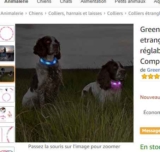 Collier lumineux pour chiens à 1.99€ .. encore moins cher