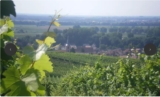 Visite Caves Domaine Dischler pas chère à partir de 8.9€ pour deux avec bouteille offerte !
