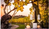 Réduction Domaine  Dopff Au Moulin Riquewihr  : 11.9€ la degustation + 1 bouteille