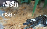 Local :  Billets à prix réduits pour la ferme aux Crocodiles ( Drome)