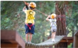 Bon plan Accrobranche France Aventures St Etienne :plus de 30% de réduction
