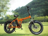 Vtt Fatbike 1000W Gogobest GF300 pas cher à 759€ !