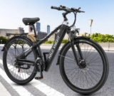 Vélo Halo Knight H02 au prix le plus bas : 849€ ( 29 pouces, 750 watts )