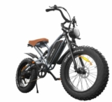 Fatbike 750 watts 20 pouces JANSNO X50  à 899 euros