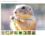 Réduction Parc la Halte du Volcan : billets pas chers à 7€ les deux entrées