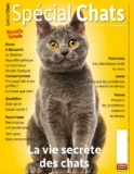 Magazine Special Chats : abonnement 2 ans pas cher à 24€ (au lieu de 55 )