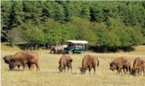 Réserve Biologique des Monts D&rsquo;Azur :  promo billets à prix réduits