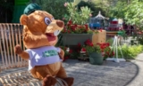 Bon plan réduction parc NESTOR LE CASTOR – 9€ l&rsquo;entrée