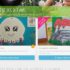 Bon plan iphone 5 (209 euros )  , ipad  (209 euros ) , apple tv  reconditionnés le 4 avril de 18h à minuit