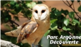 Bon plan Parc Argonne Découverte .. billets pas chers