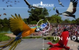 Parc des Oiseaux : billets à prix réduits