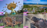 Groupon : des billets avec des réductions pour de nombreux Parcs attractions, aquatiques , animaliers  !!