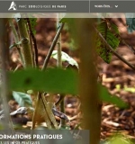 Parc zoologique de Paris ( Zoo de vincennes) : billets à prix réduits