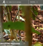 Parc zoologique de Paris ( Zoo de vincennes) : billets à prix réduits