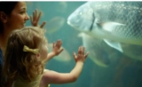 Pass Annuel Aquarium de Paris moins chers : A partir de 45€