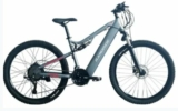 Bon plan Vtt Randride YG90A 1000 watts pas cher à 1119€