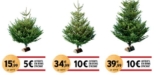 Offre Sapins de Noel chez Intermarché : jusqu&rsquo;à 10€ en bon d&rsquo;achat