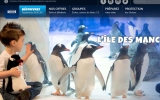 Bon plan billets d’entrées Aquarium Sea Life Paris pas chers à  12.6 et 15.7€