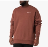 Bon plan Sweat Champion hommes pas cher à 28€