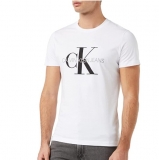 Tee Shirt Calvin Klein hommes pas chers à 13€