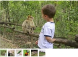 Terre De Singes … entrées moins chères