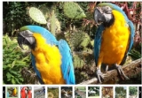 Tropical Parc Bretagne: entrées moins chères (17.99€ les deux adultes)