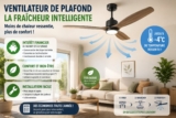 Ventilateur de plafond ou climatisation : la solution la plus économique pour rafraîchir votre intérieur