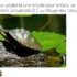 Gratuit : un stylo Pilot 100% remboursé