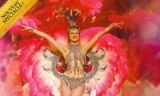 Cabaret Voulez Vous Orleans : jusqu&rsquo;à 36% de réduction : à partir de 49.9€