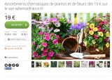 Bon plan jardins  : packs plantes à moitié prix chez willemse