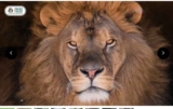 Réduction Zoo des trois  vallées, parc des félins: billets moins chers