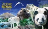 Bon plan séjour au Zoo Parc de Beauval ( nuits + entrées) – à partir de 93€ par adulte